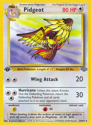 Pidgeot 24/64 from Jungle