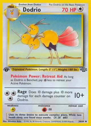 Dodrio 34/64 from Jungle