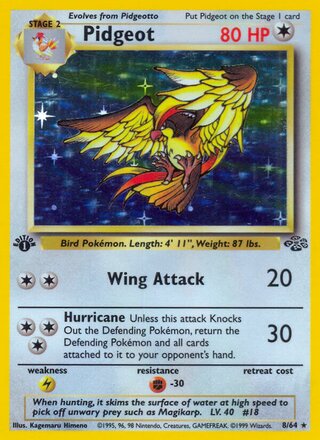 Pidgeot 8/64 from Jungle