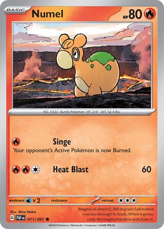 Numel 11/245 from Paldean Fates