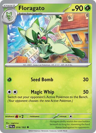Floragato 14/279 from Paldea Evolved