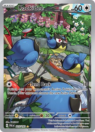 Rookidee 225/279 from Paldea Evolved