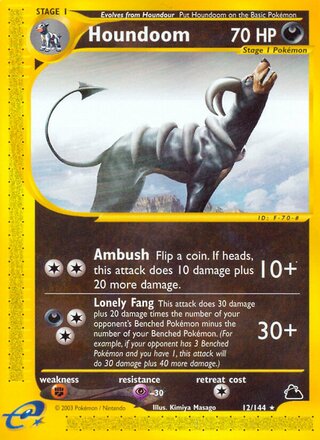 Houndoom 12/182 from Skyridge