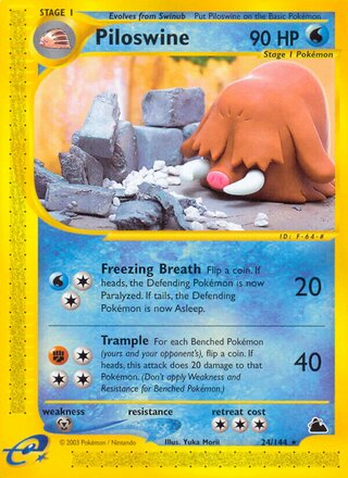 Piloswine 24/182 from Skyridge