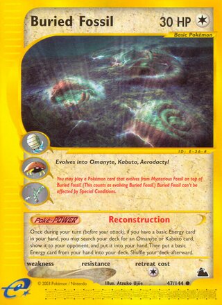 Buried Fossil 47/182 from Skyridge
