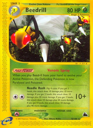 Beedrill 5/182 from Skyridge