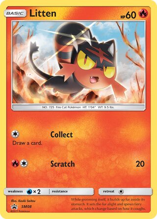 Litten 8/248 from Sun & Moon Promos