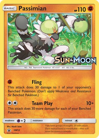 Passimian 12/248 from Sun & Moon Promos