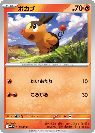 Tepig 11/174 from White Flare
