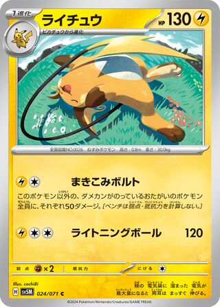 Raichu 24/100 from Cyber Judge