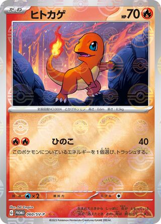 Charmander 60/295 from Scarlet & Violet Promos