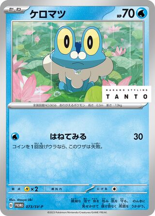 Froakie 73/295 from Scarlet & Violet Promos
